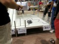 /album/robocup-2014-joao-pessoa-brazilia-/a20140721-131045-jpg/