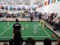 /album/robocup-2014-joao-pessoa-brazilia-/a20140721-150712-jpg/